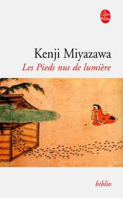 Les pieds-nus de lumière book