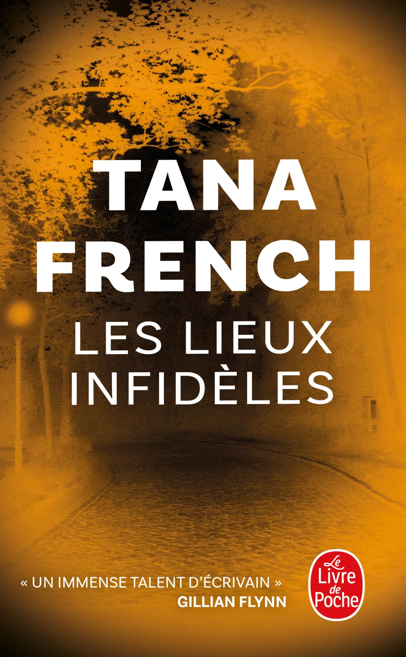 Les Lieux infidèles book