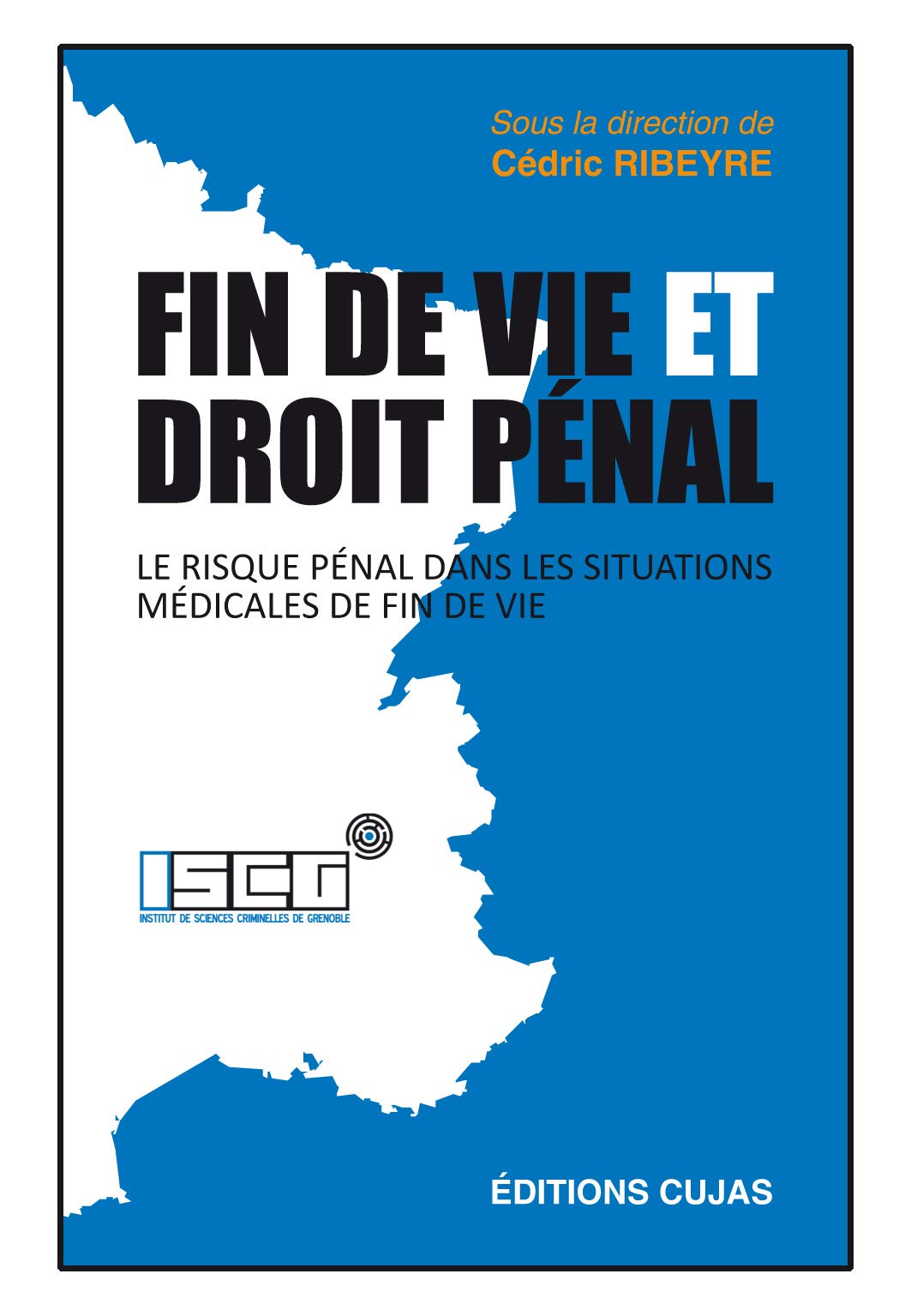 Fin de vie et droit pénal: Le risque pénal dans les situations médicales de fin de vie book