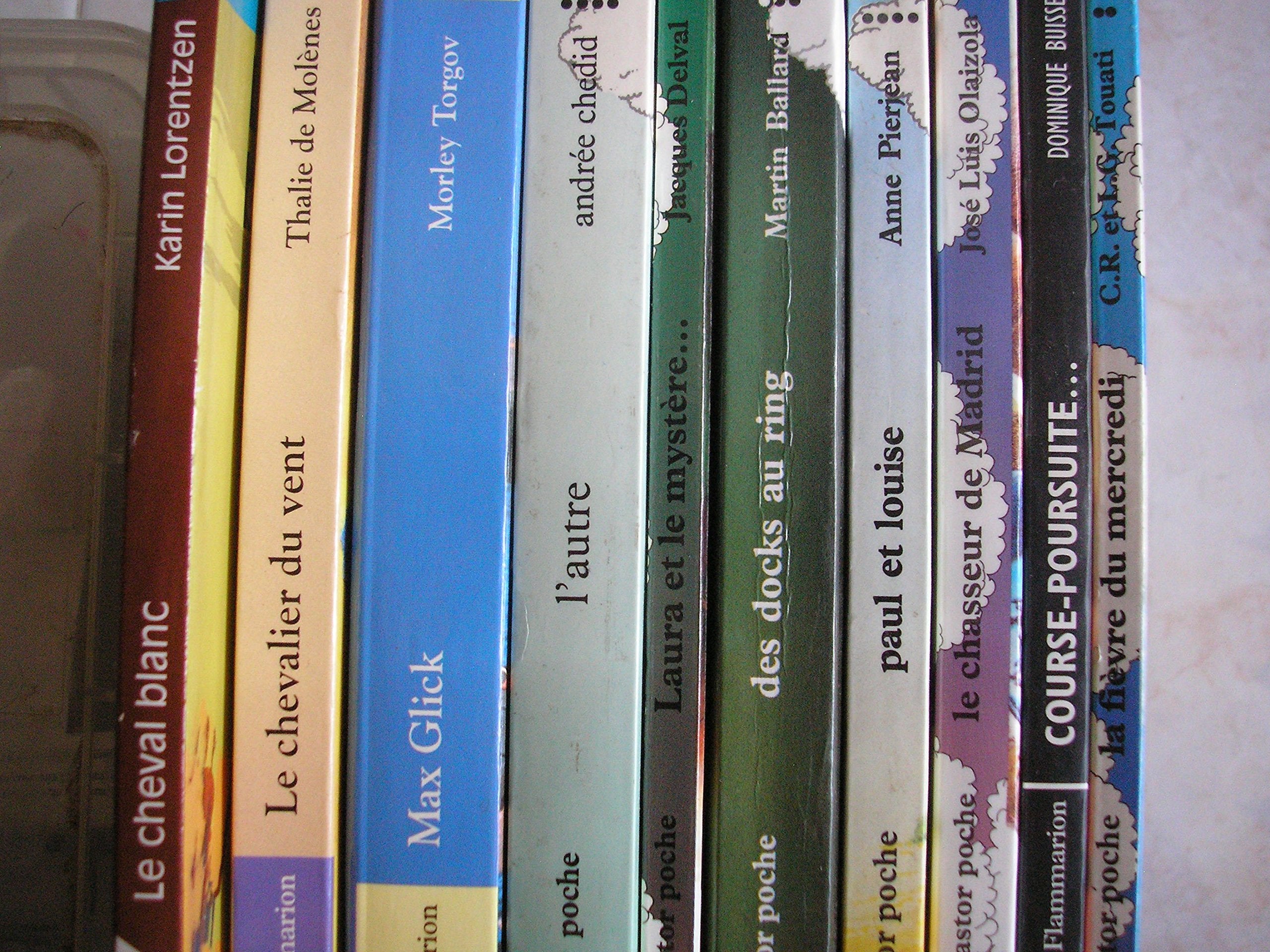 lot 10 livres castor poche : la fievre du mercredi - course poursuite a l'italienne - le chasseur de madrid - paul et louise - des docks au ring - laura et le mystere de la chambre rose - l'autre - max glick - les tibeyrant le chevalier du vent - le ch... book