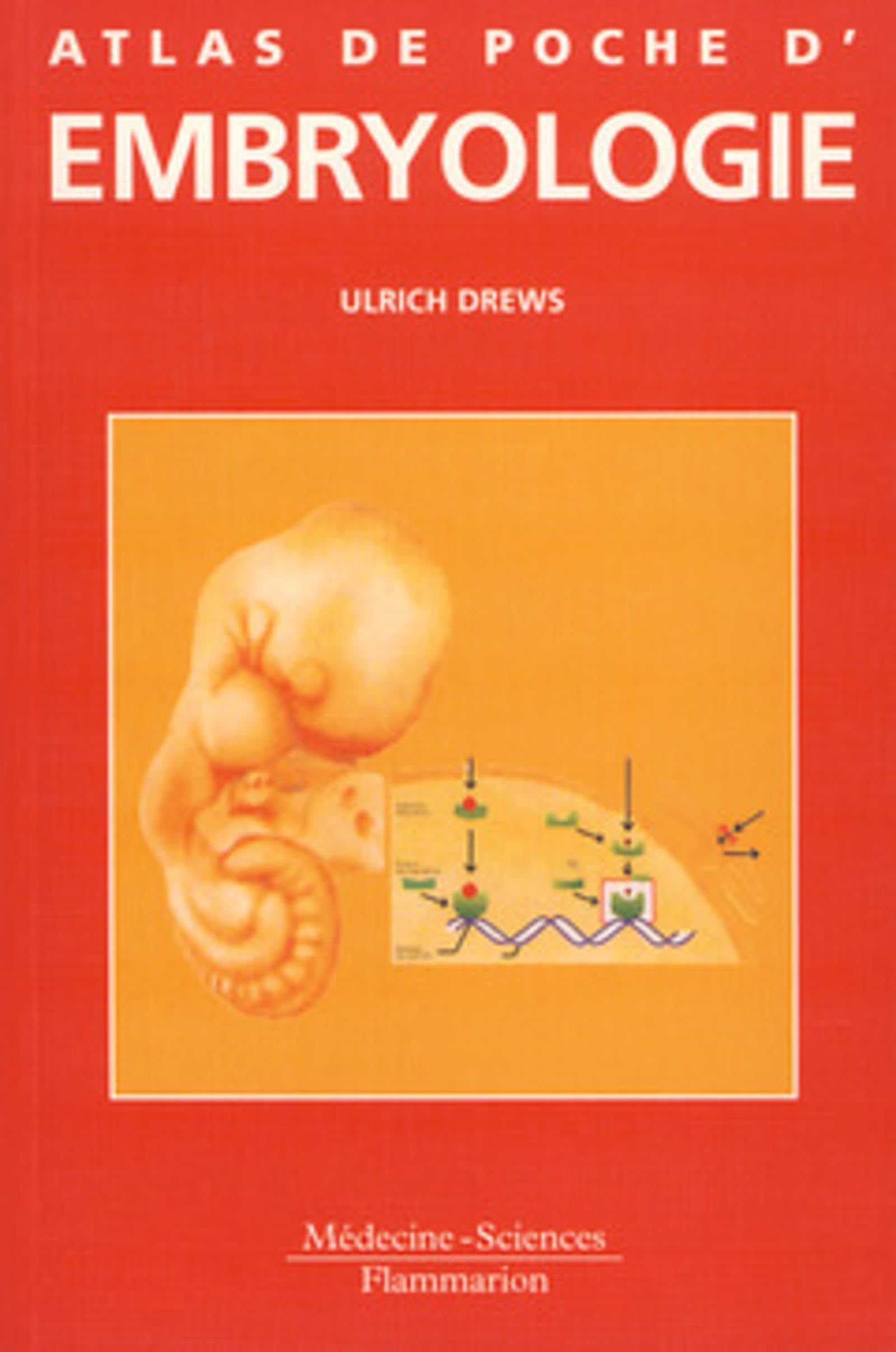 Atlas de poche d'embryologie book