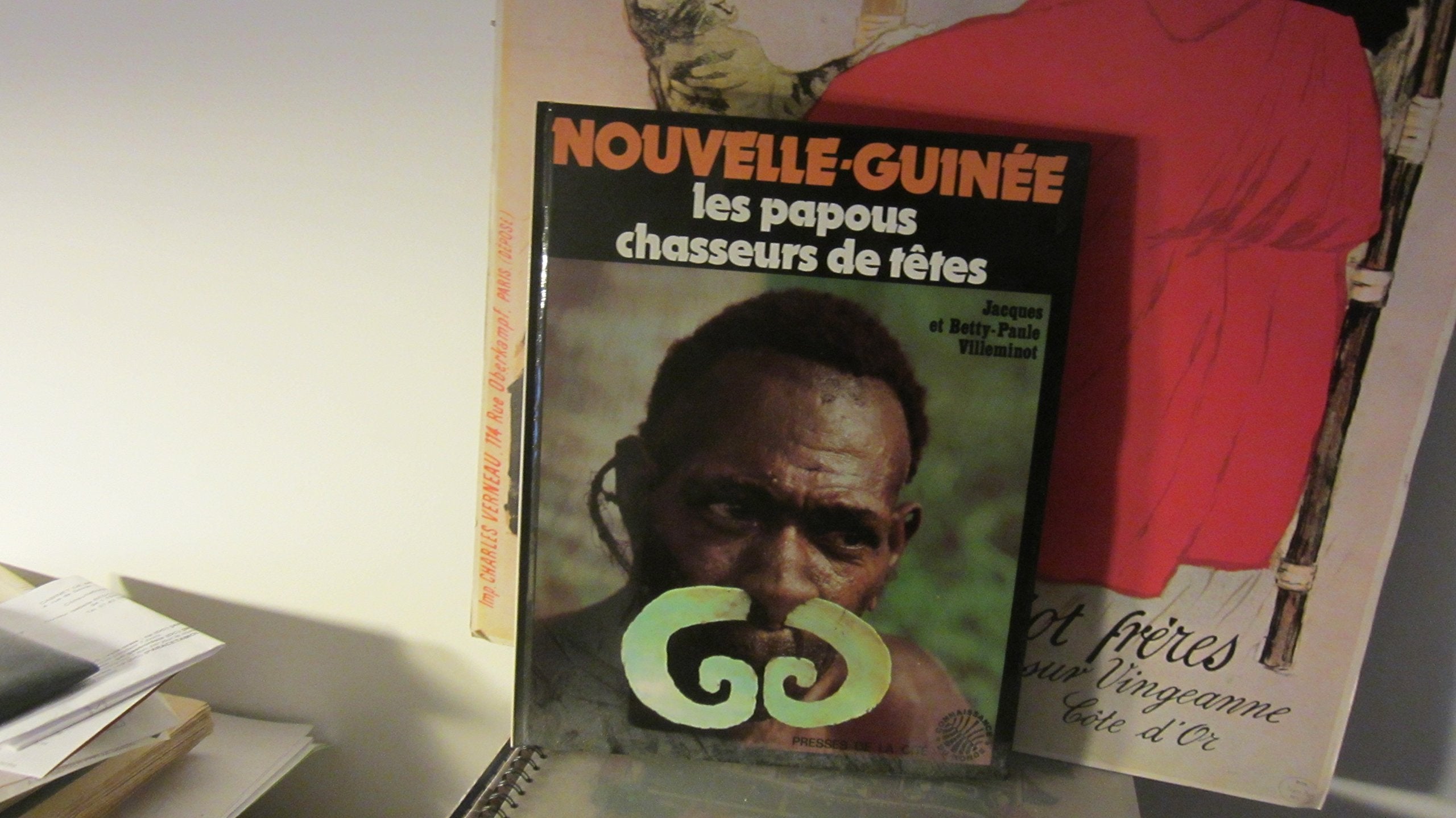 Nouvelle-guinee / les papous chasseurs de têtes book