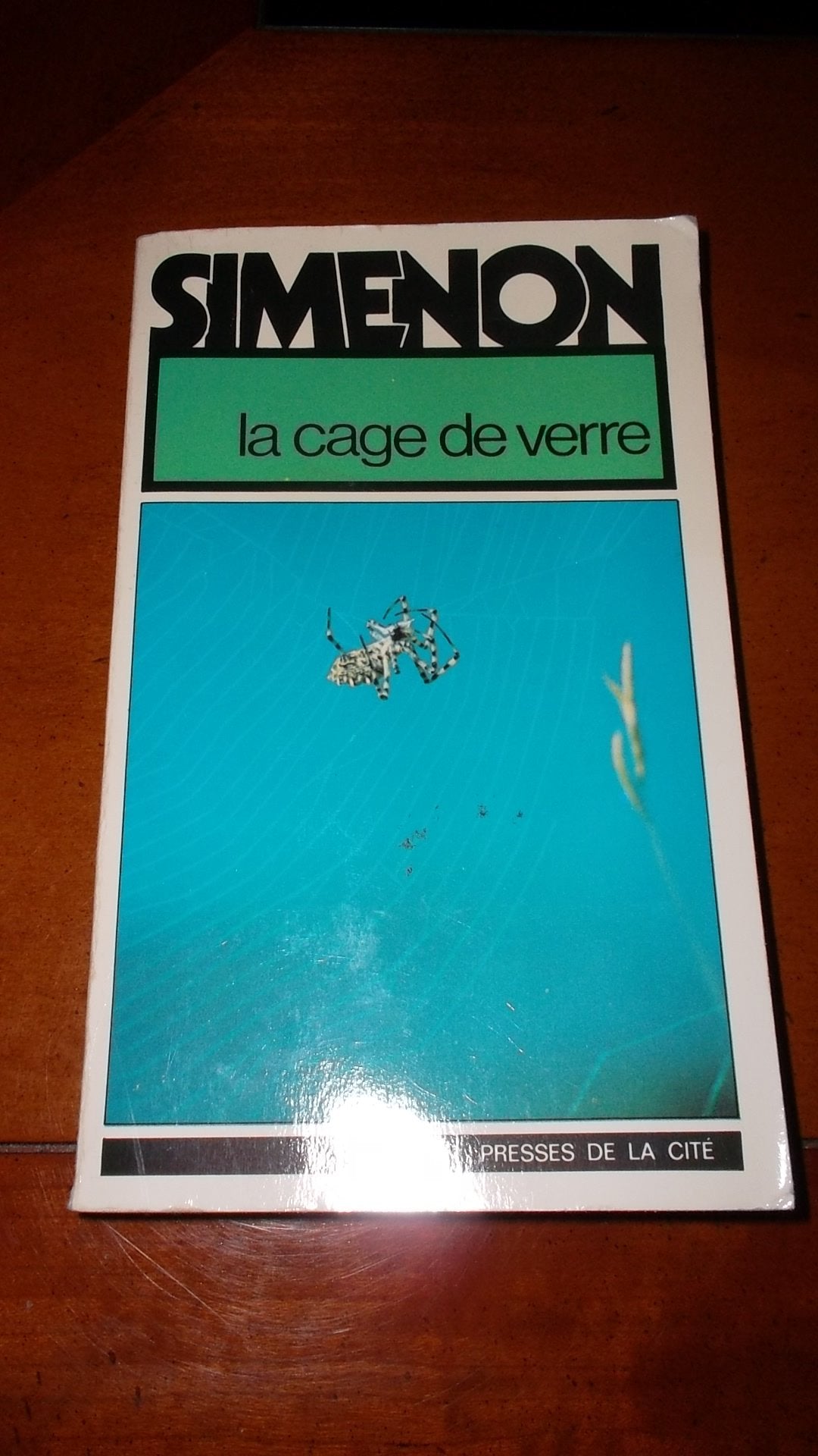 La cage de verre / roman Books