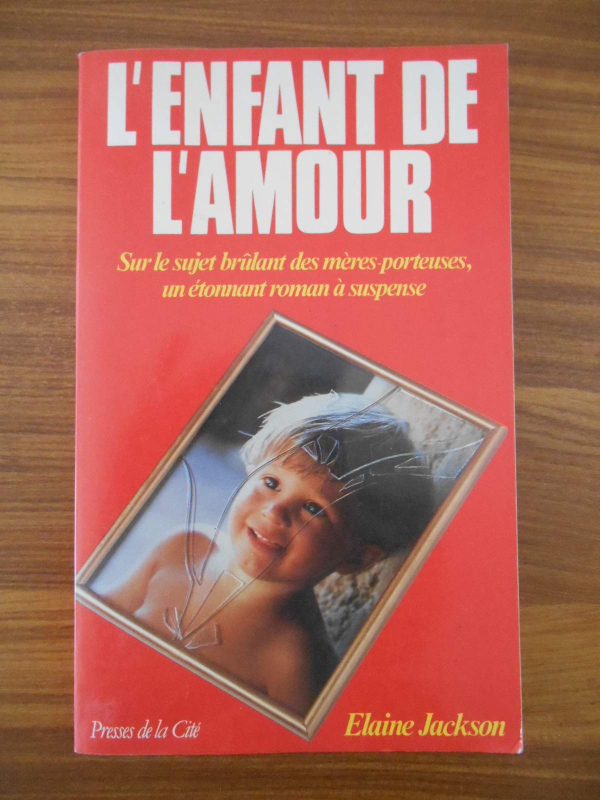 L'enfant de l'amour : roman book