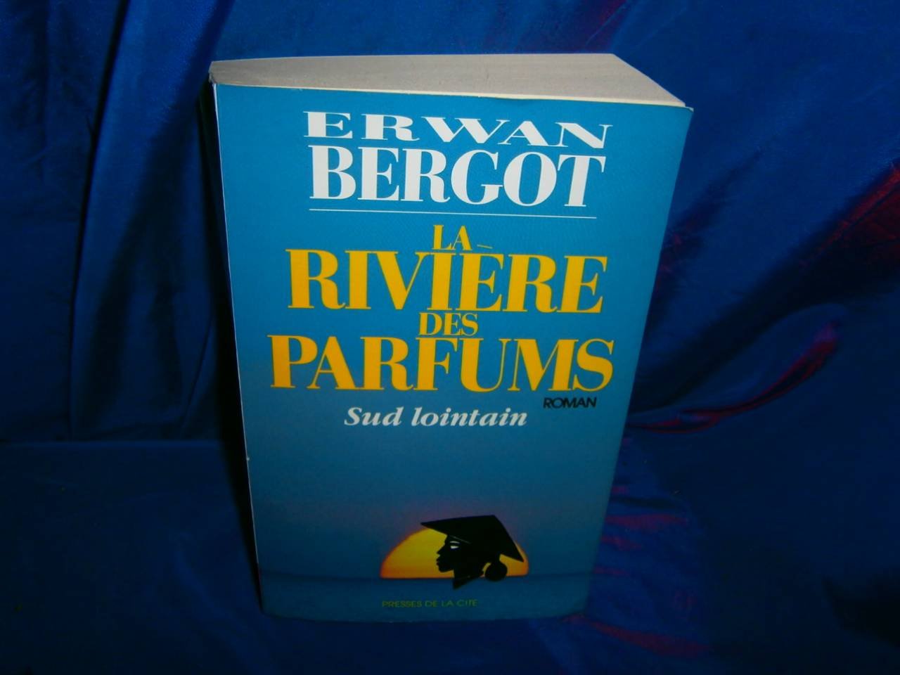 Sud lointain tome 2 La rivières des parfums (02) Historical Fiction