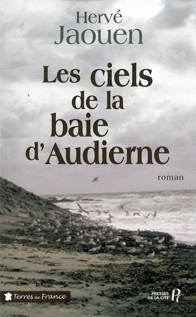Les ciels de la baie d'Audierne Contemporary literature