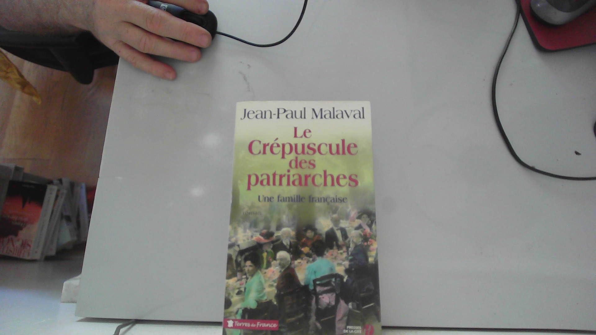 Le Crépuscule des patriarches Books