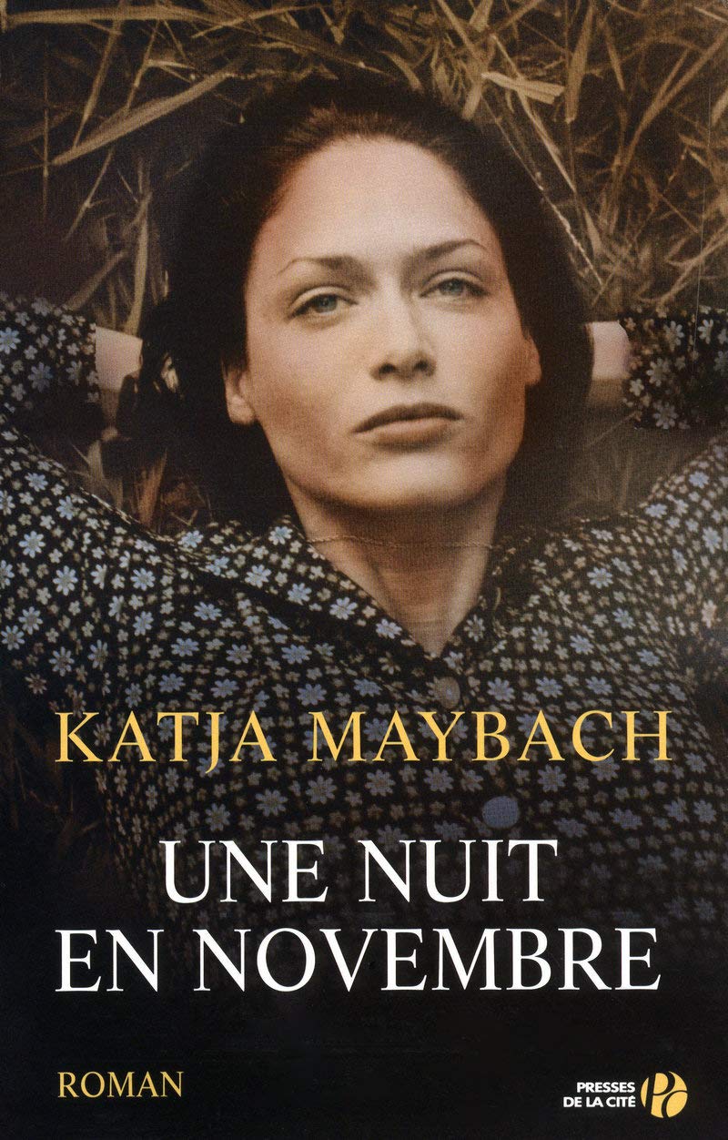 Une nuit en novembre Contemporary literature