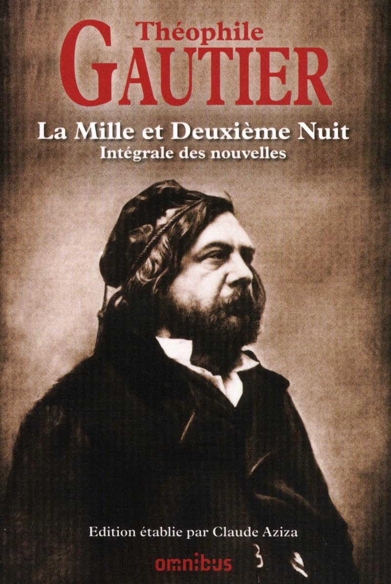 MILLE ET DEUXIEME NUIT book
