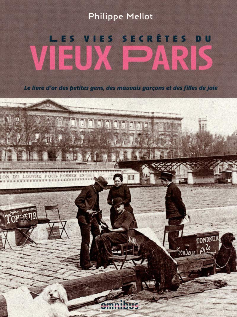 Les Vies secrètes du vieux Paris book