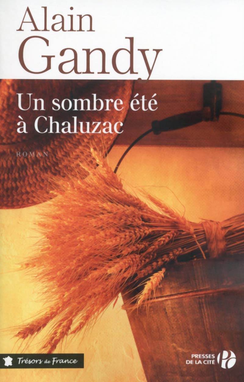 Un sombre été à Chaluzac book