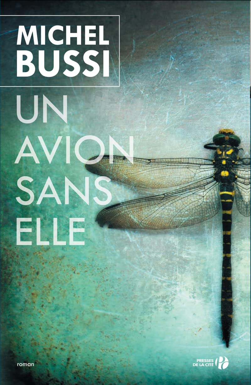 Un avion sans elle - Prix Maison de la Presse 2012 book