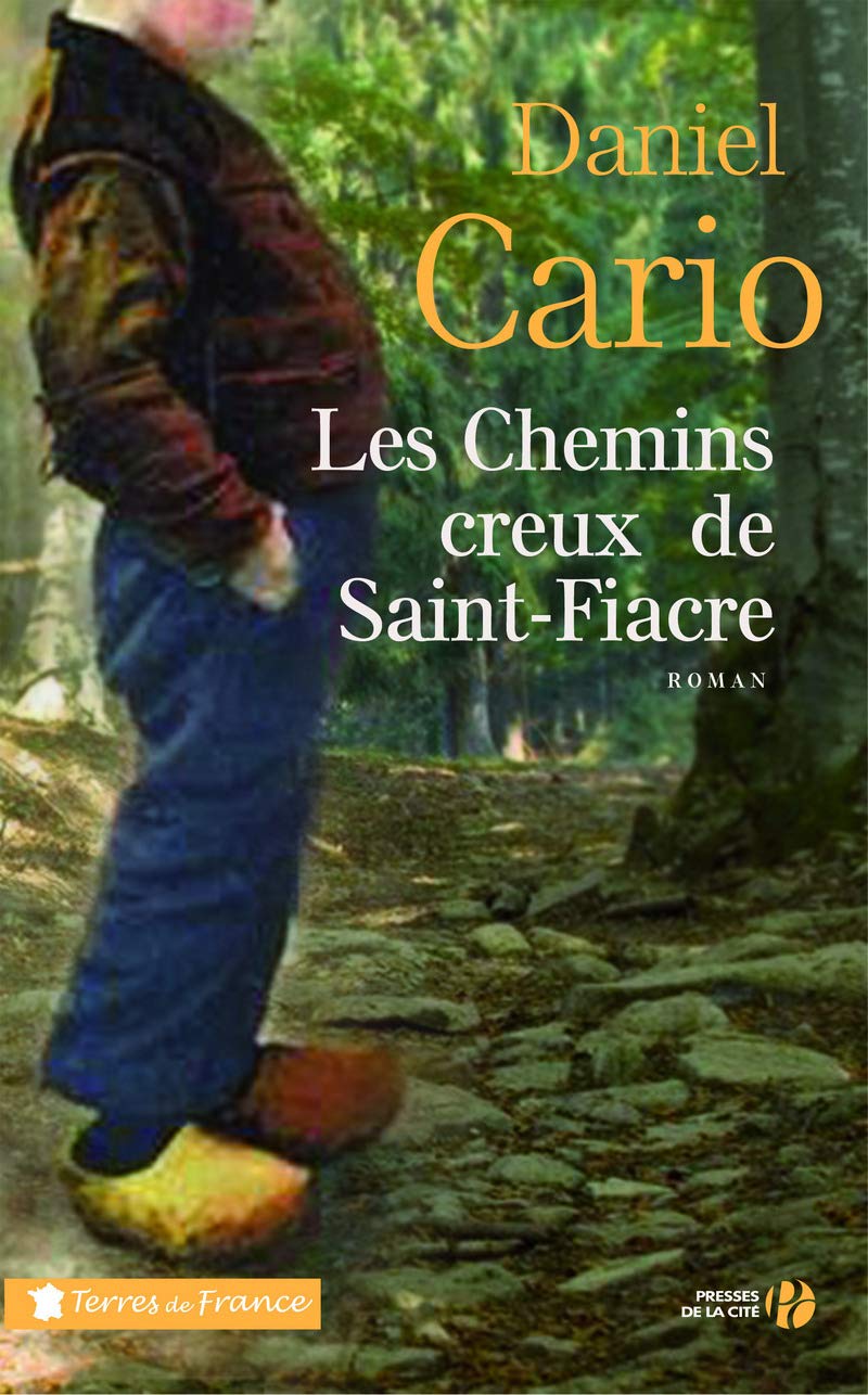 Les Chemins creux de Saint-Fiacre book