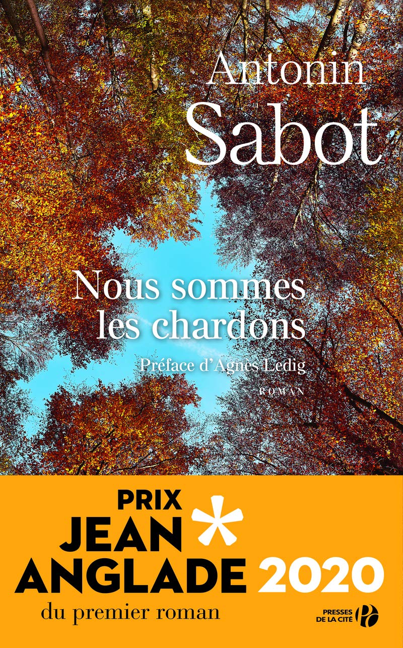 Nous sommes les chardons Contemporary literature