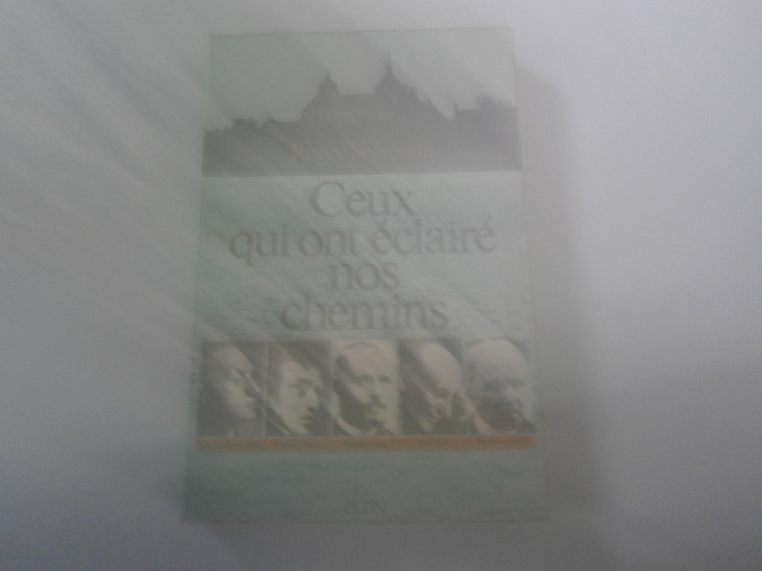 Ceux qui ont éclairé nos chemins: Essais de littérature book
