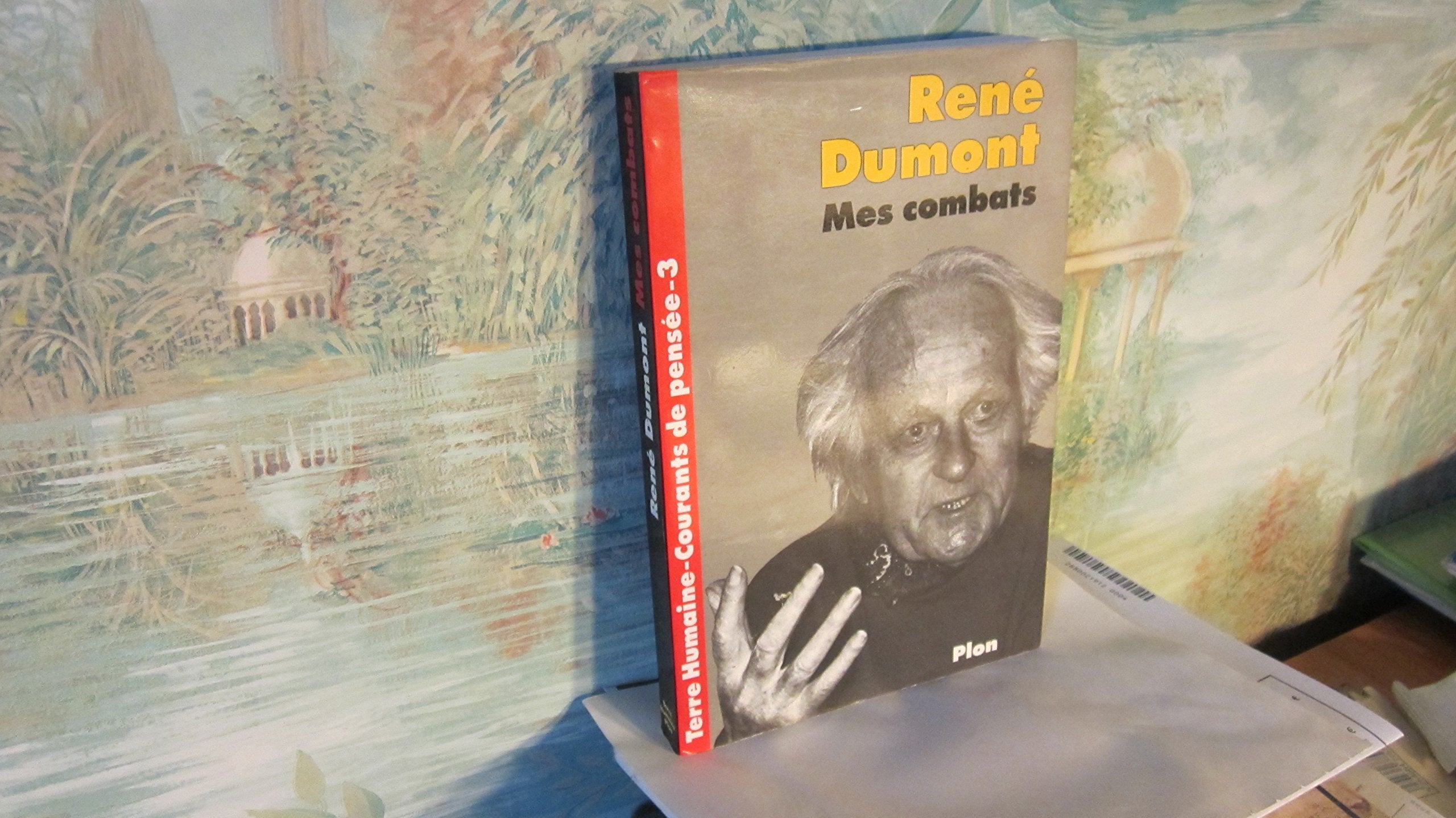 Mes combats : dans quinze ans, les dés seront jetés book