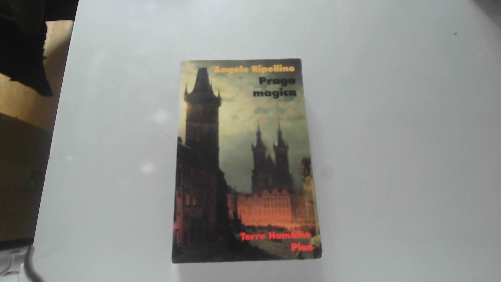 Praga magica : Voyage initiatique à Prague book