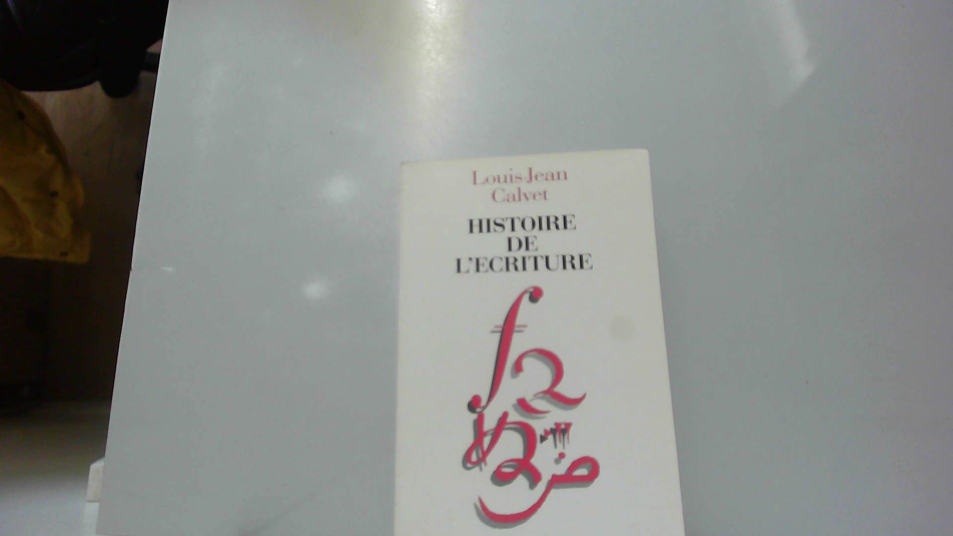 Histoire de l'écriture book