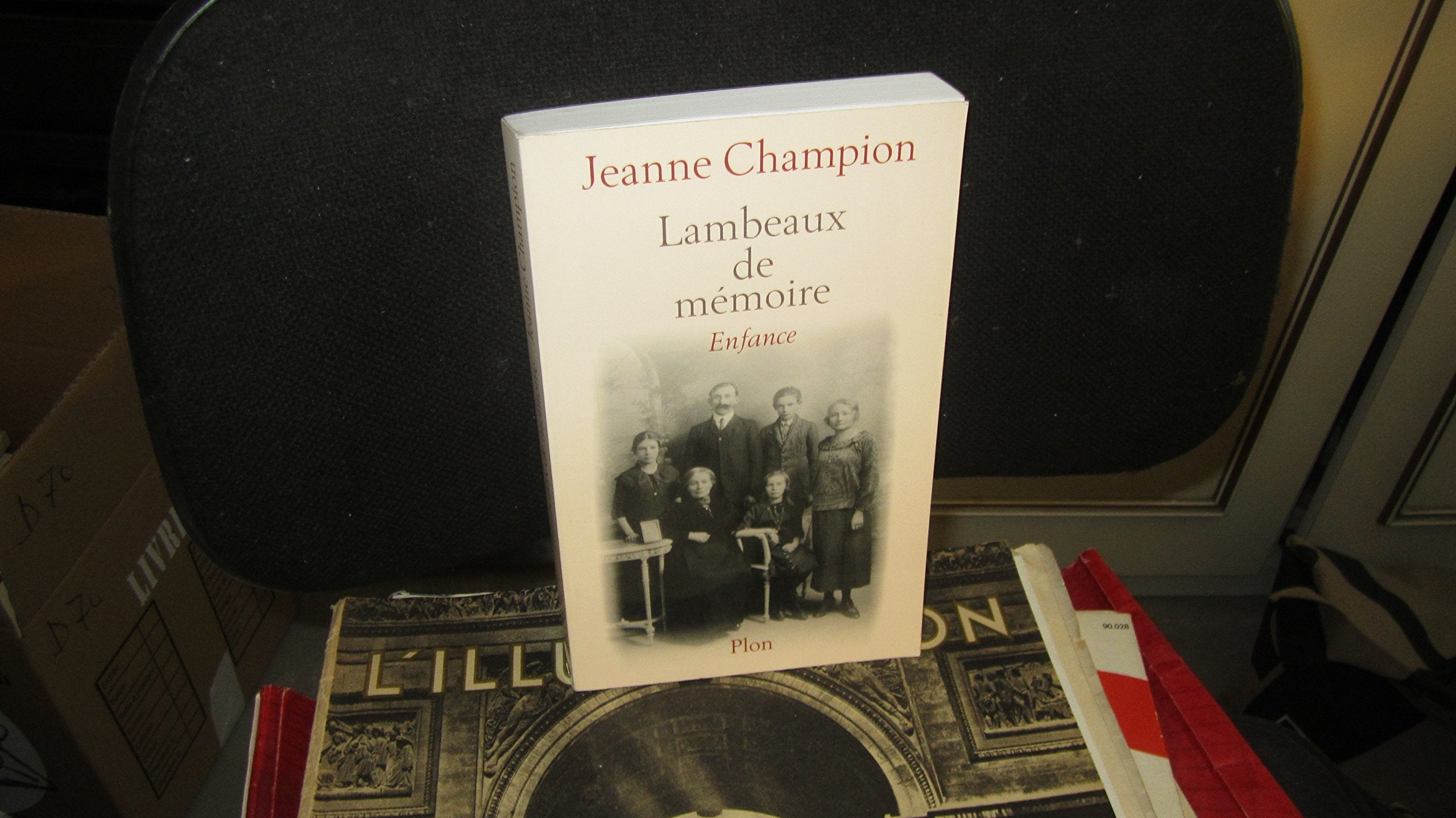 Lambeaux De Memoire, Enfance Books