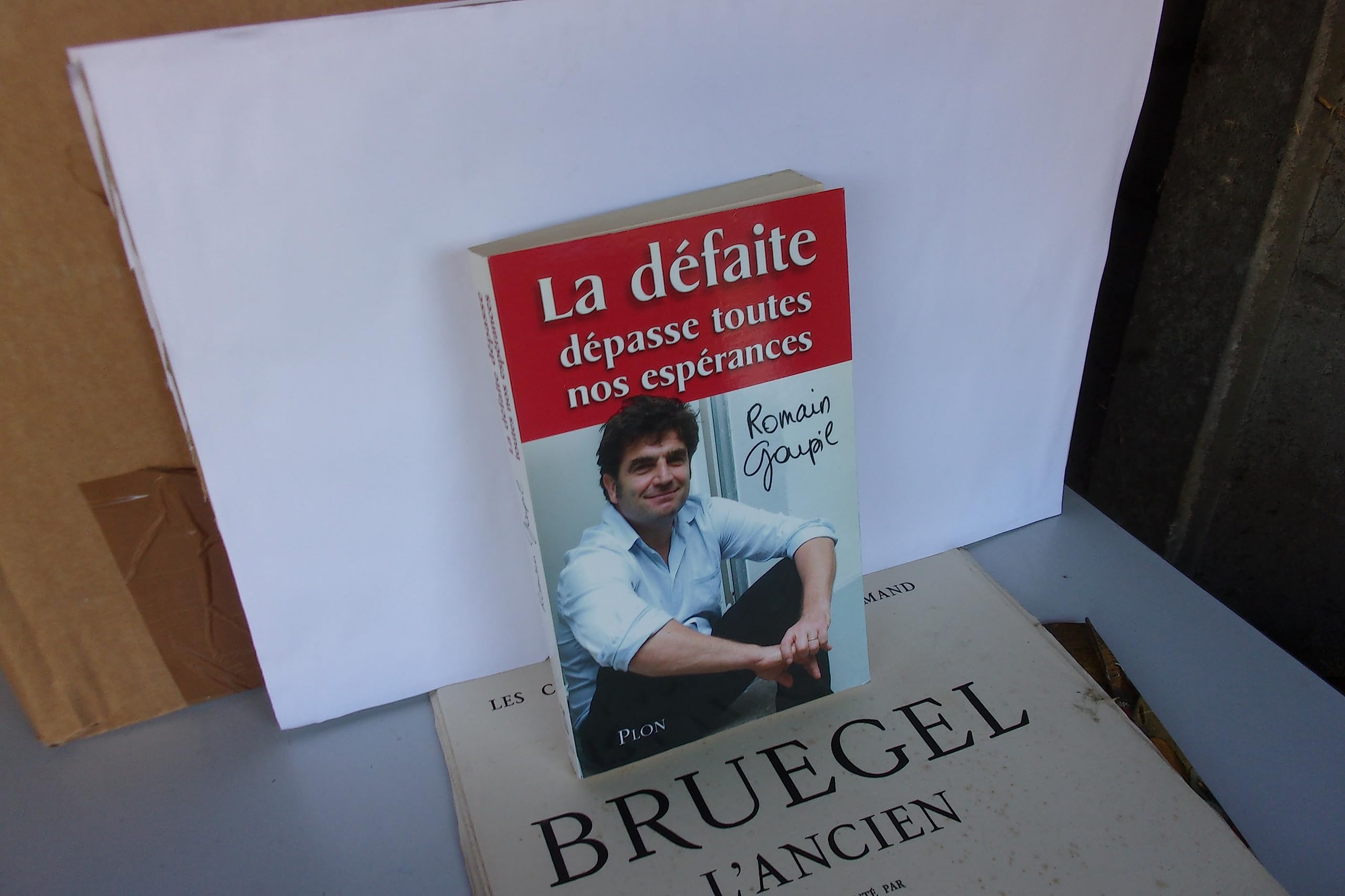 La défaite dépasse toutes nos espérances book