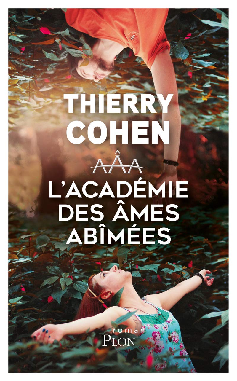 L'Académie des âmes abîmées book