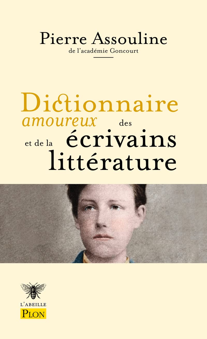 Dictionnaire amoureux des écrivains et de la littérature book