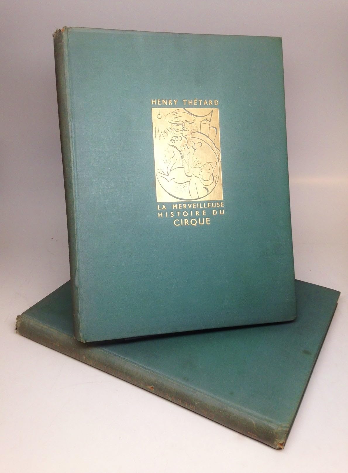 La Merveilleuse histoire du cirque book