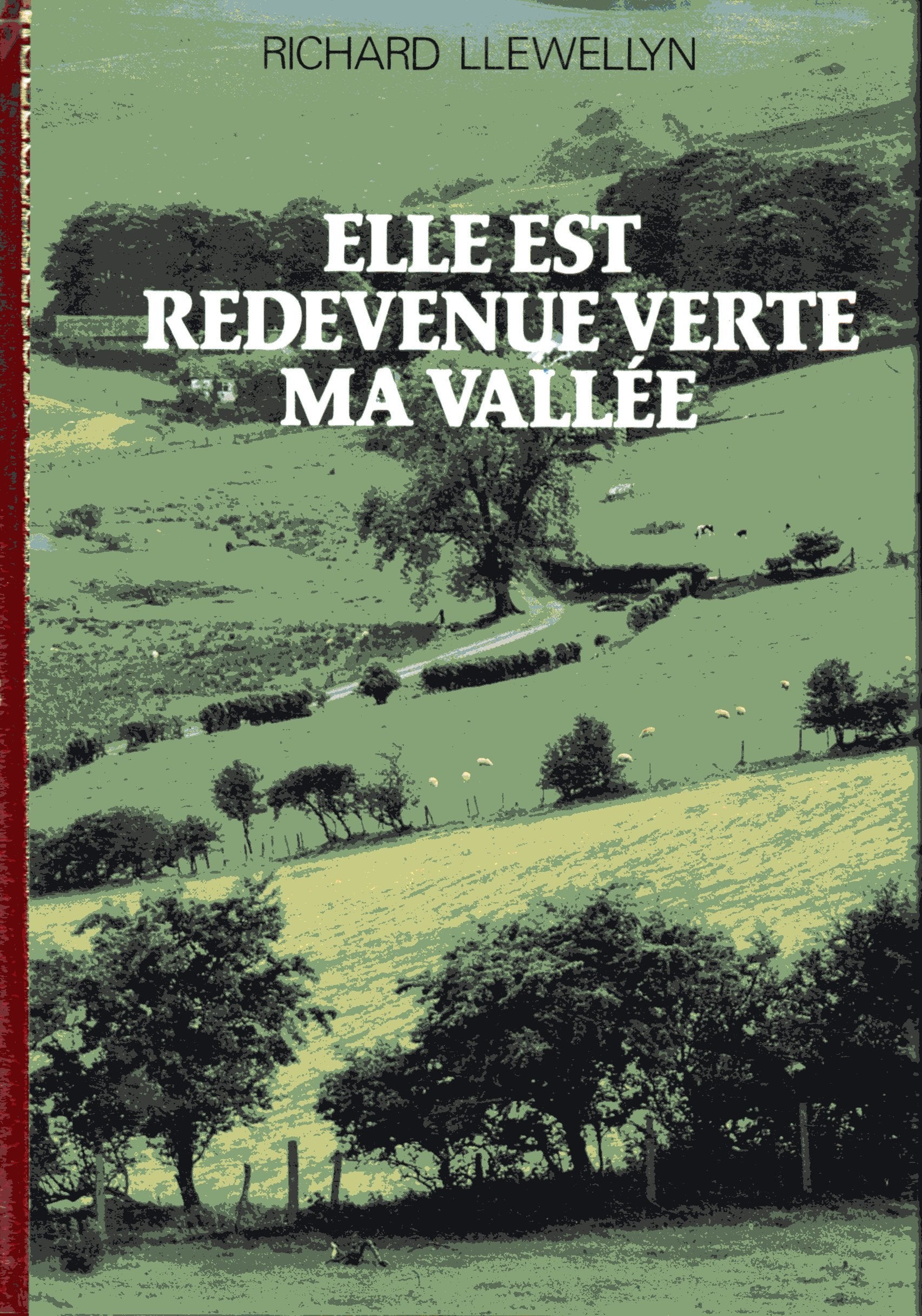 Elle est redevenue verte ma vallée book