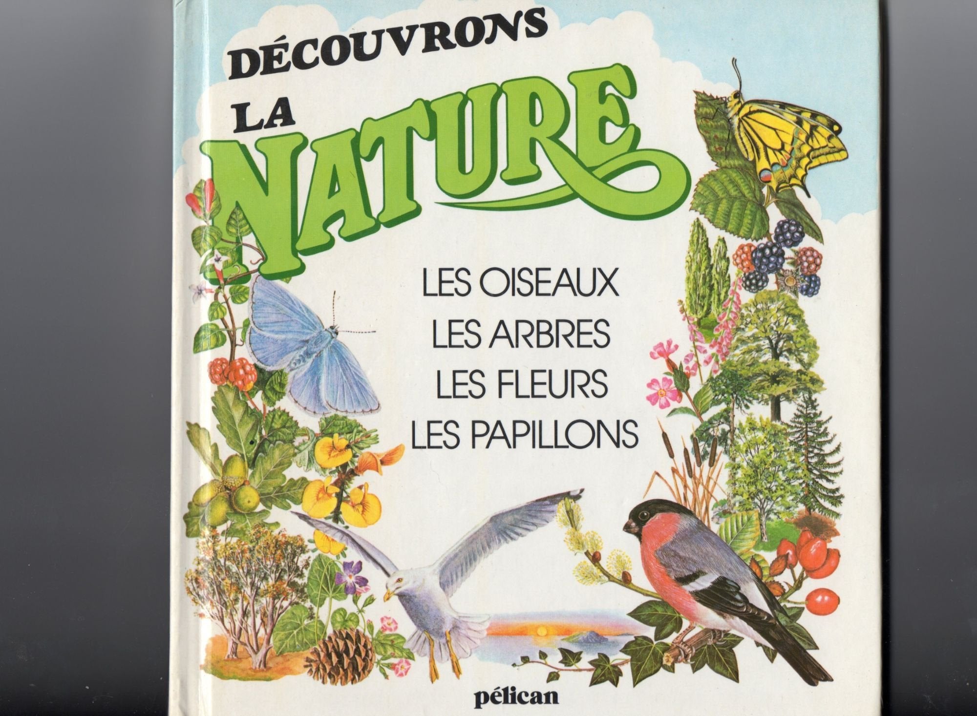 Découvrons la nature : les oiseaux, les arbres, les fleurs, les papillons book