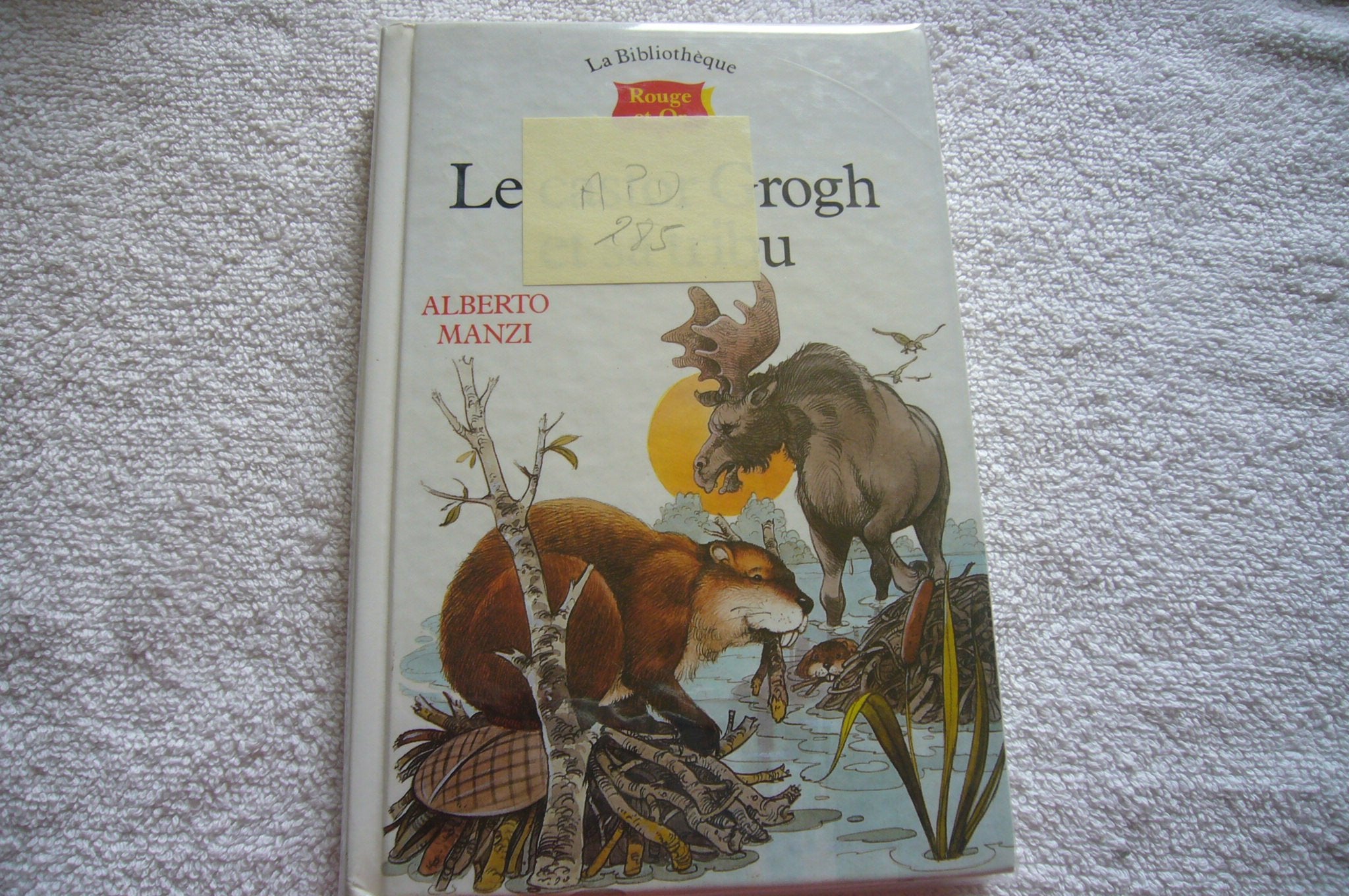 Le castor grogh et sa tribu (Bibliot.R&O 9/12 Ans) Books
