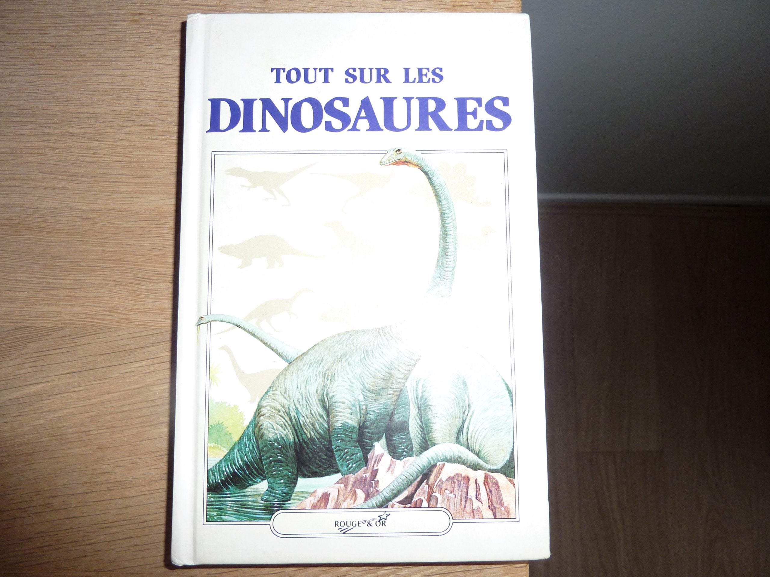 Tout Sur Les Dinosaures book