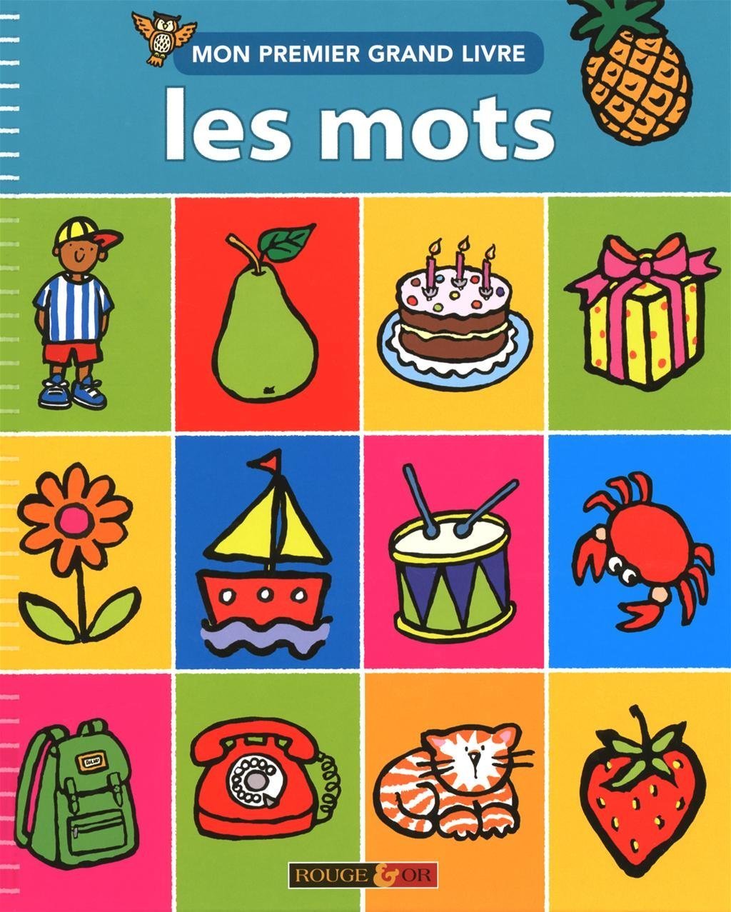 Mon premier grand livre: Les mots Books