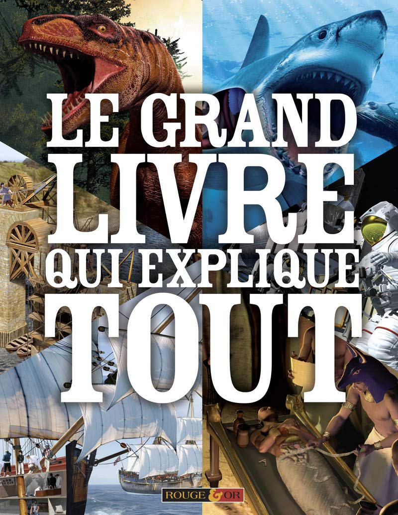 Le Grand livre qui explique tout Non-fiction