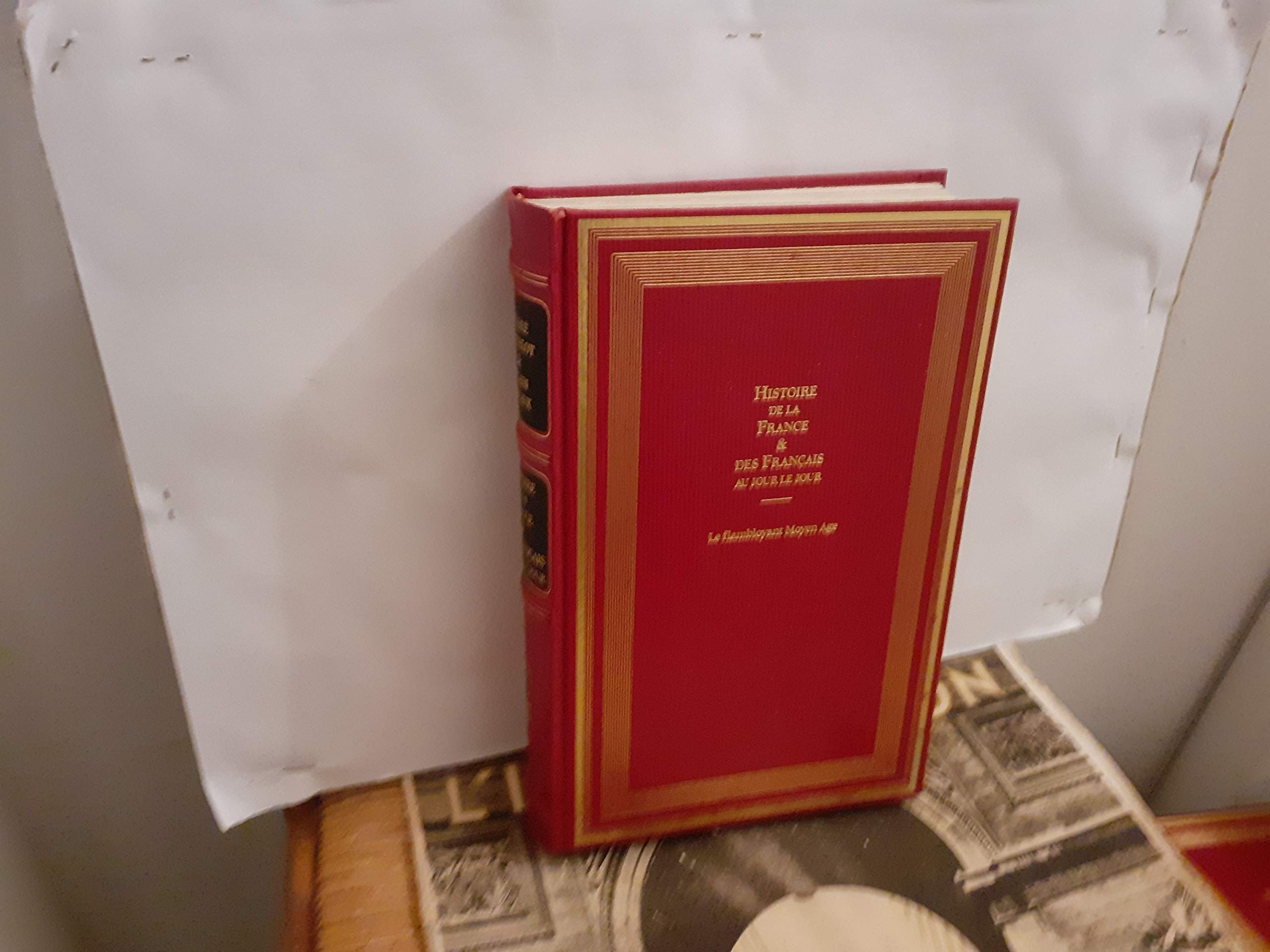 Histoire fce t.2 flamboyantski Books