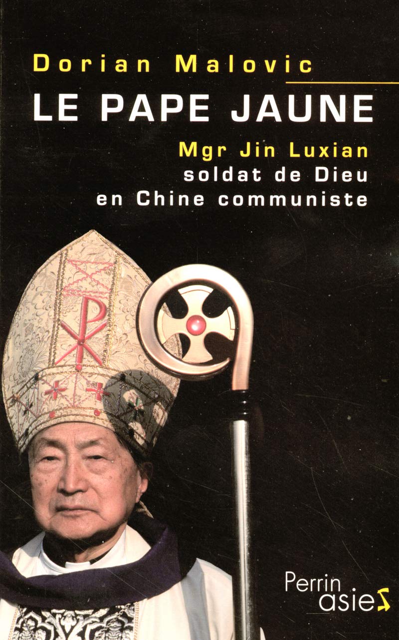Le Pape jaune: Mgr Jin-Luxian, soldat de Dieu en Chine communiste book