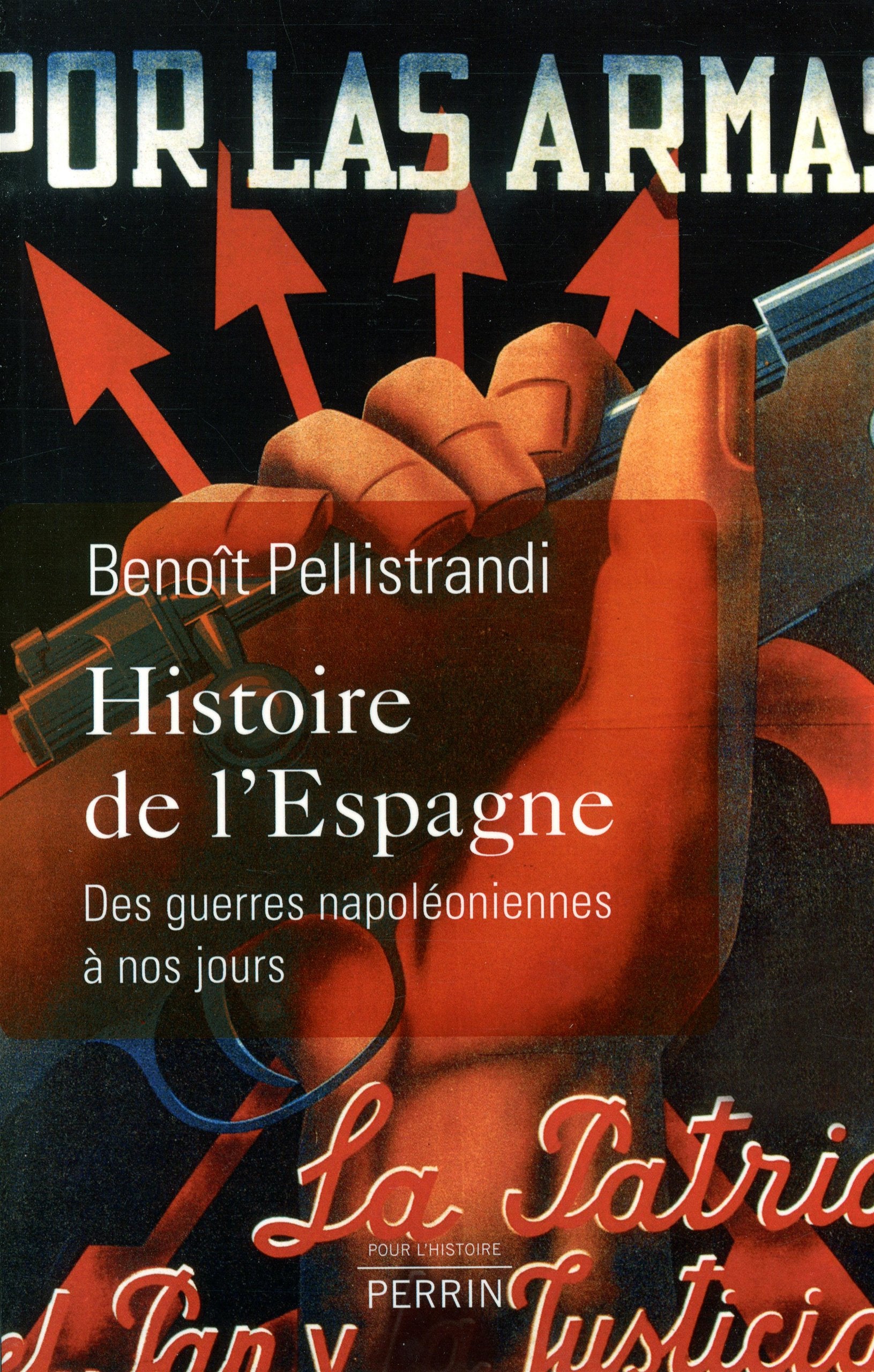 Histoire de l'Espagne: Des guerres napoléoniennes à nos jours book