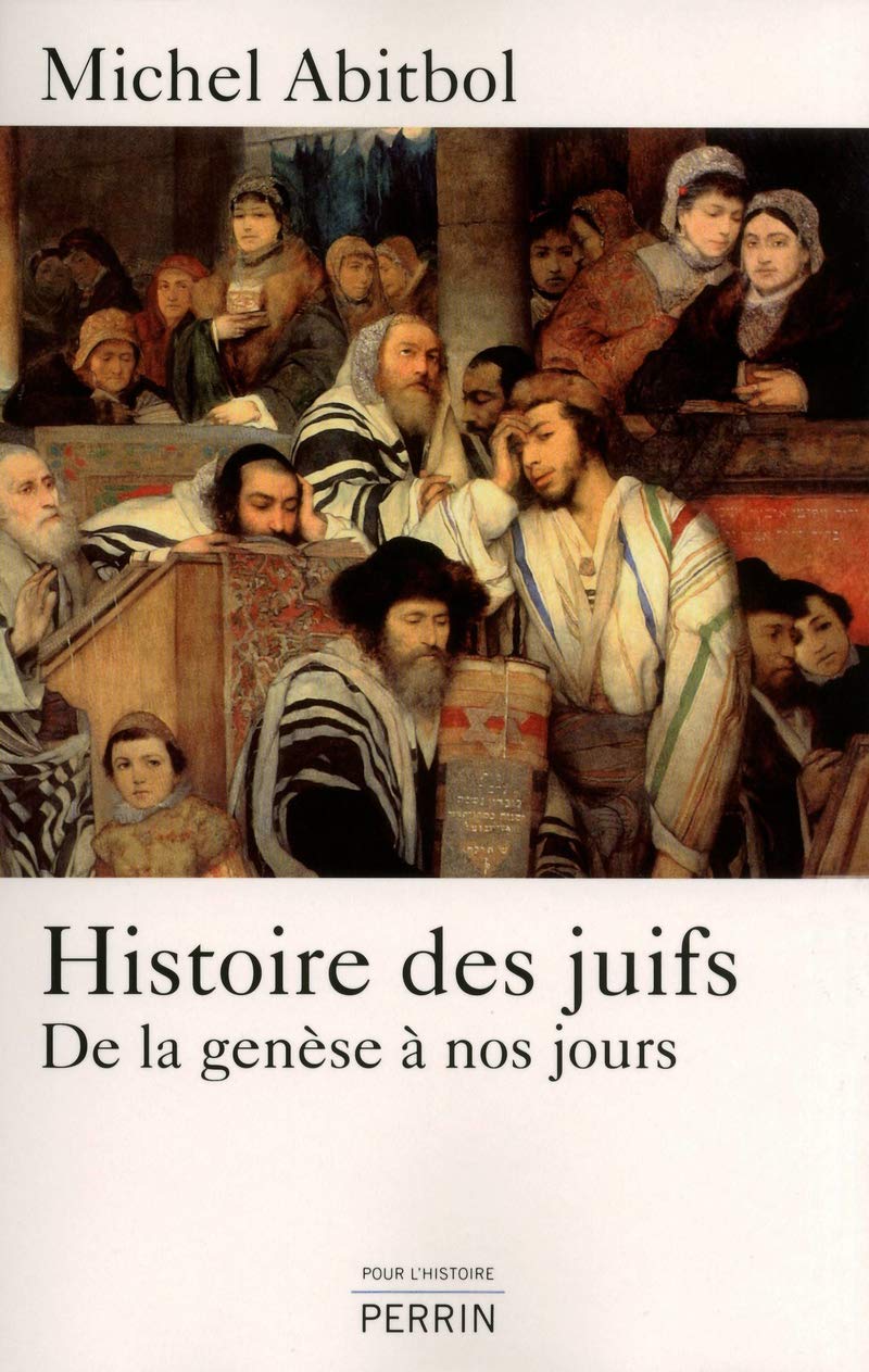 Histoire des Juifs de la genèse à nos jours Politics & History