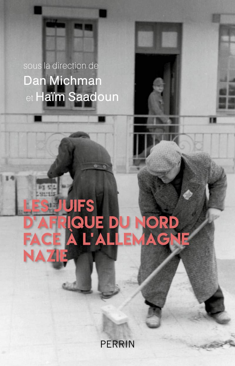Les Juifs d'Afrique du Nord face à l'Allemagne nazie book
