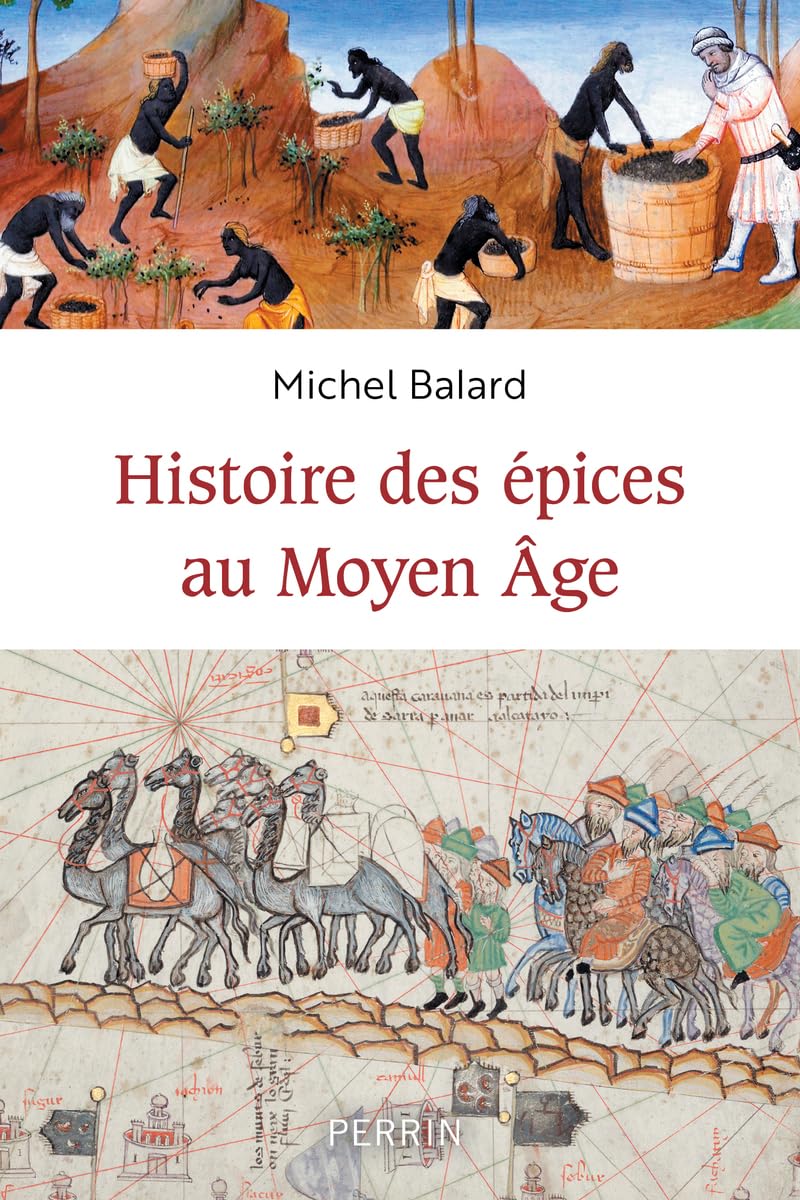 Histoire des épices au Moyen-âge book