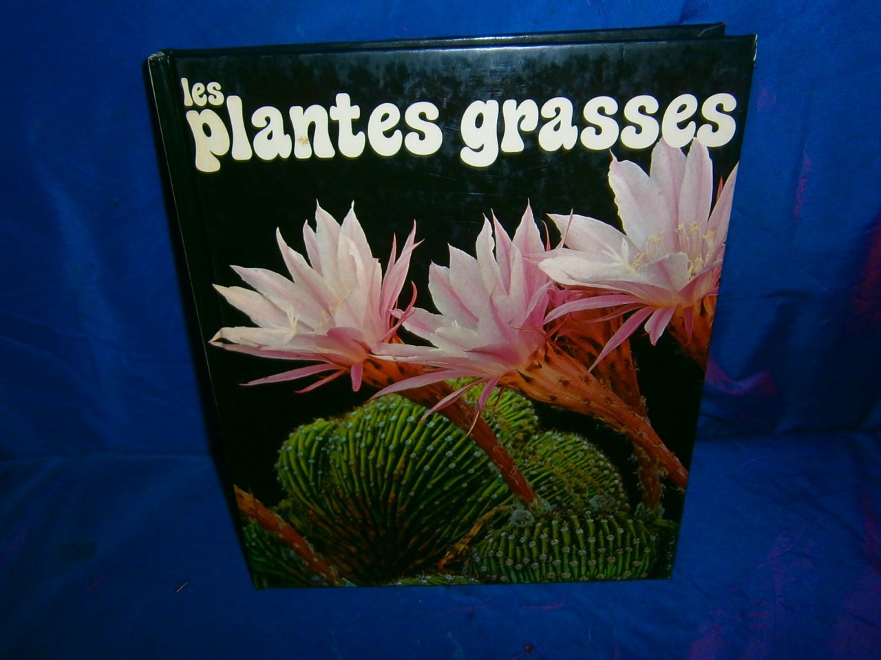 Plantes grasses album car (Solar) Books