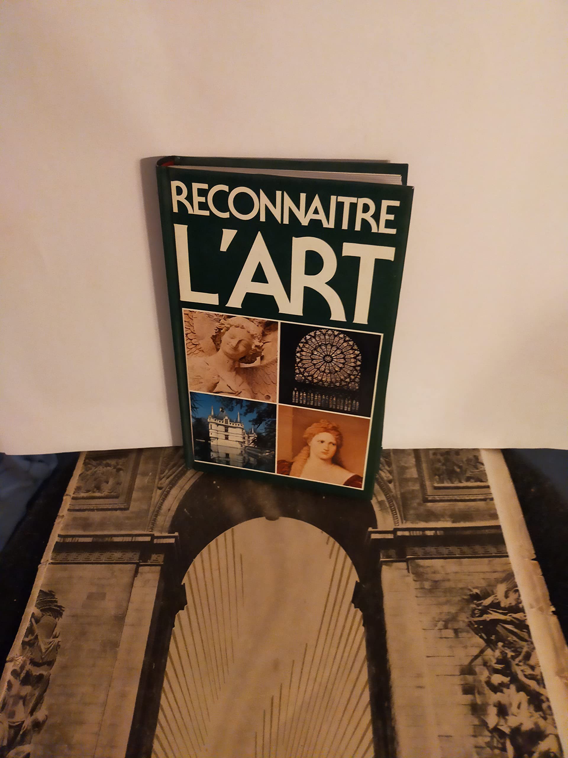 Reconnaître l'art book