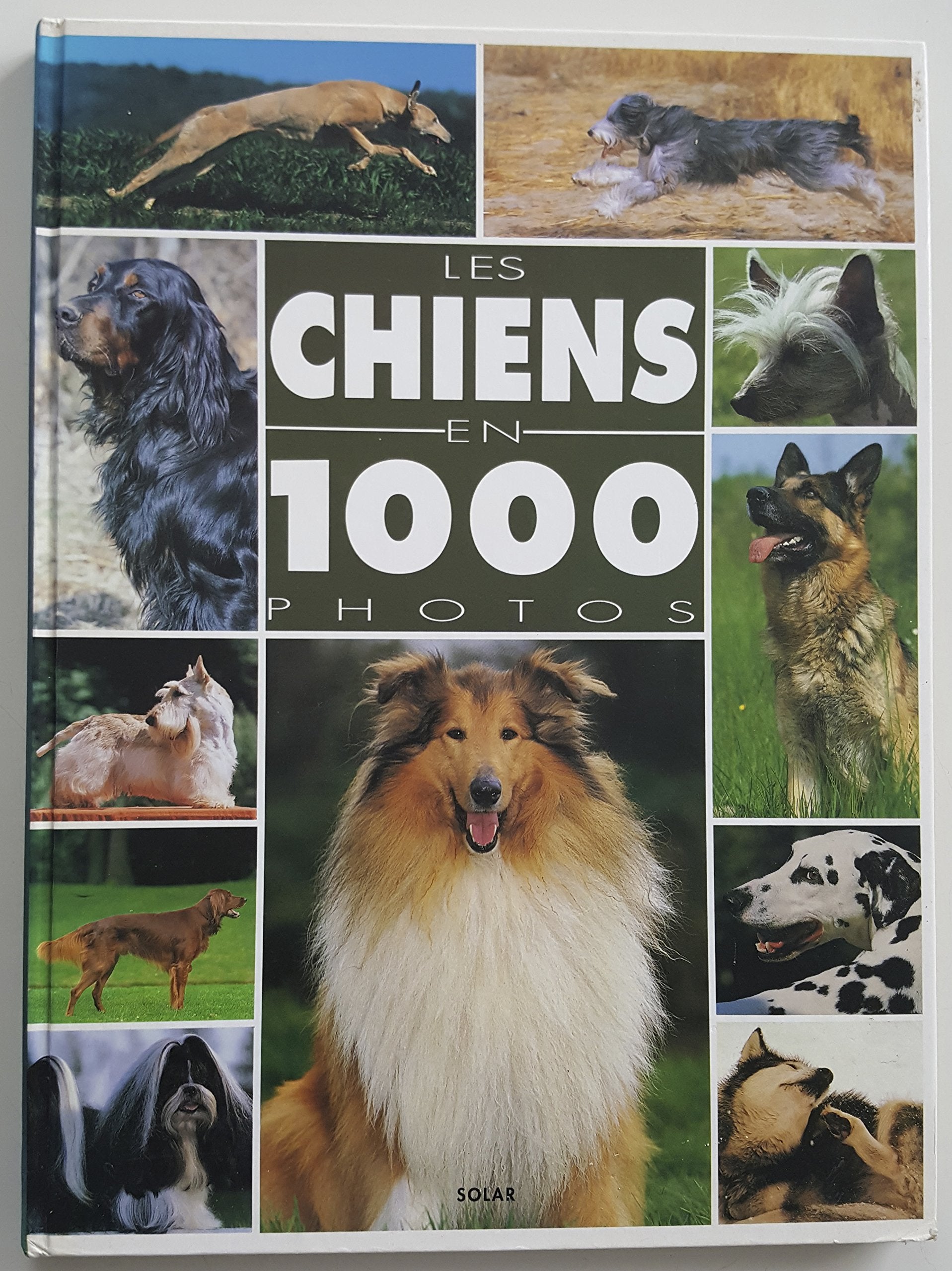 Les Chiens En Mille Photos Books