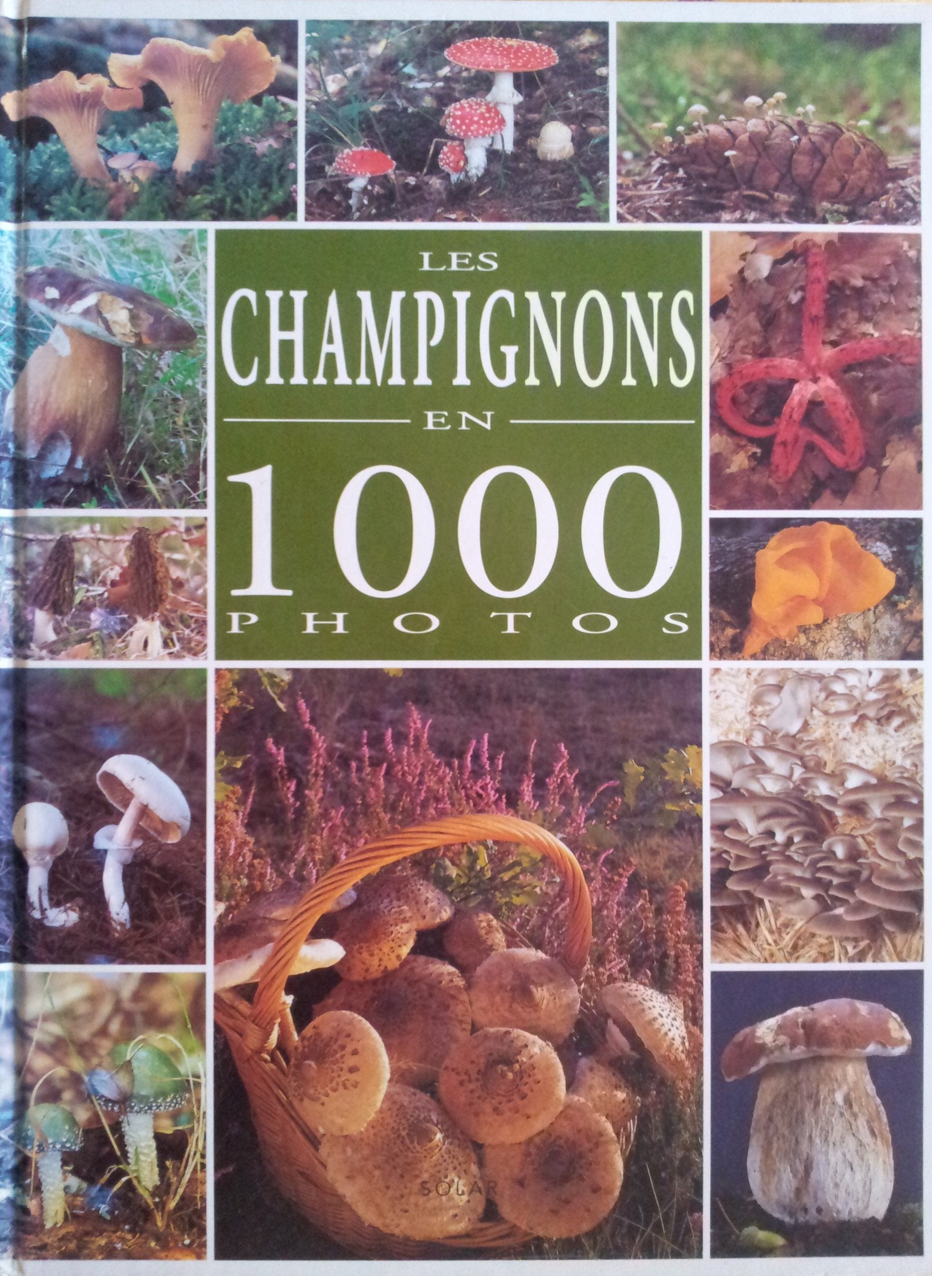 Les champignons en 1000 photos Books