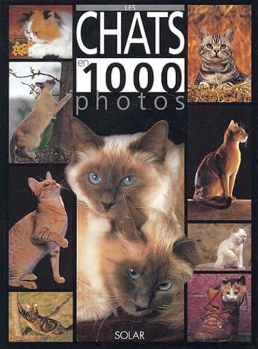 Les chats en 1000 photos Books