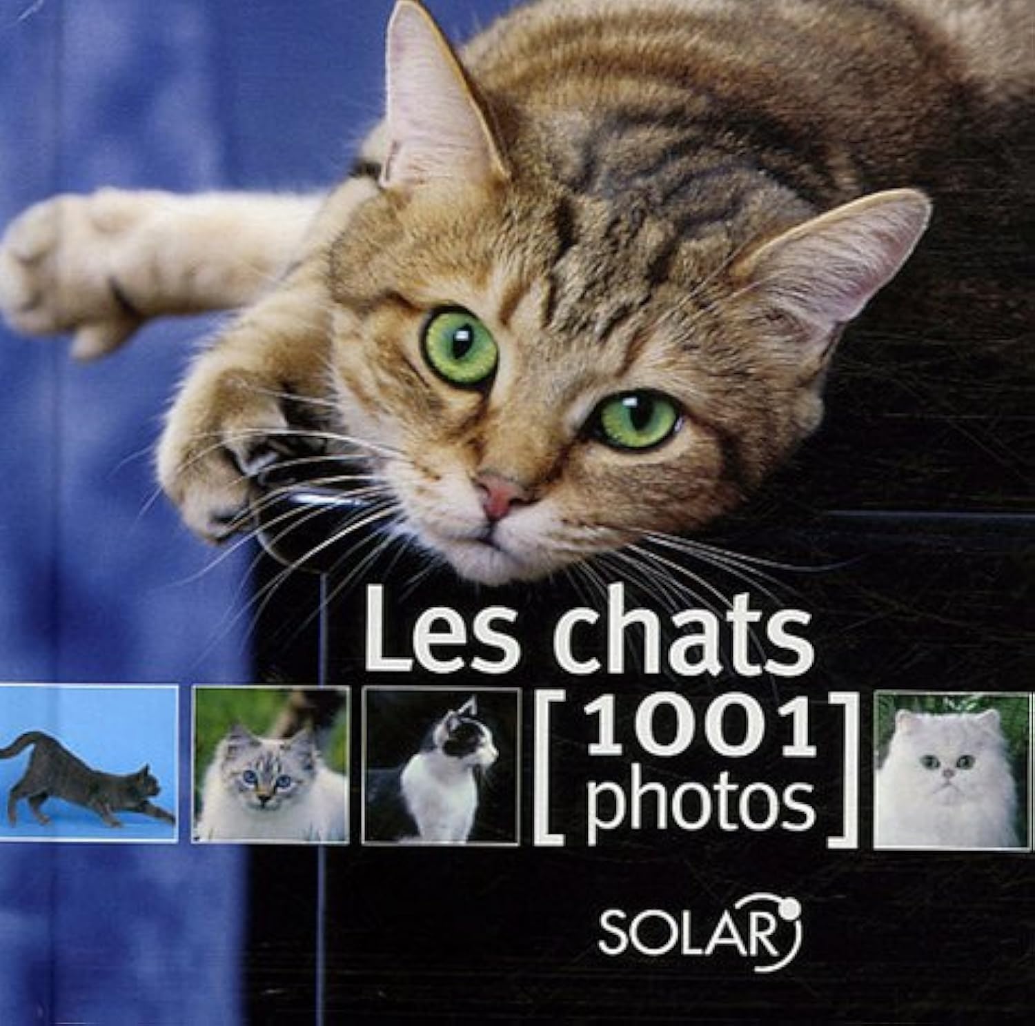 Les chats: 1001 Photos Books