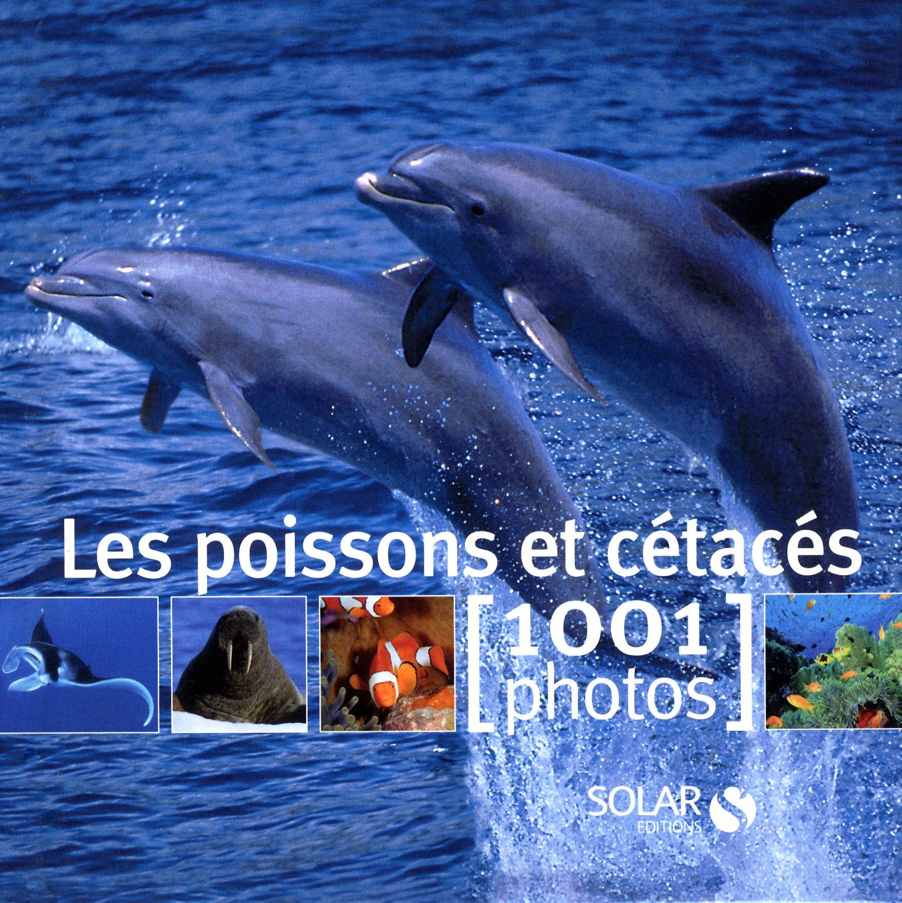 Les poissons et cétacés - 1001 photos book