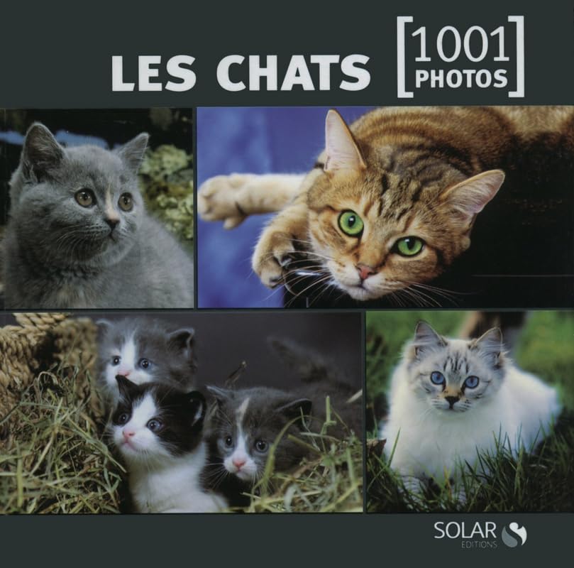 Les chats en 1001 photos - NE Pets
