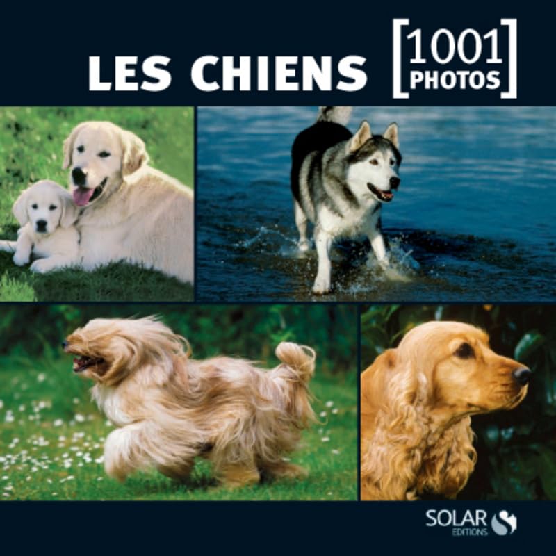 Les chiens en 1001 photos NE book
