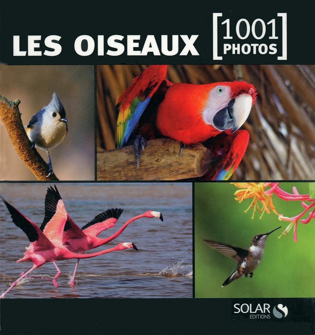Les oiseaux en 1001 photos NE book