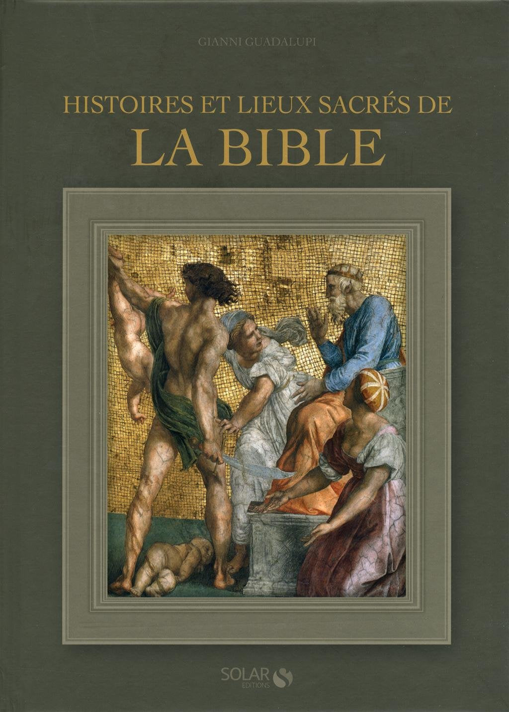 HISTOIRES ET LIEUX SACRES DE LA BIBLE Reference Books